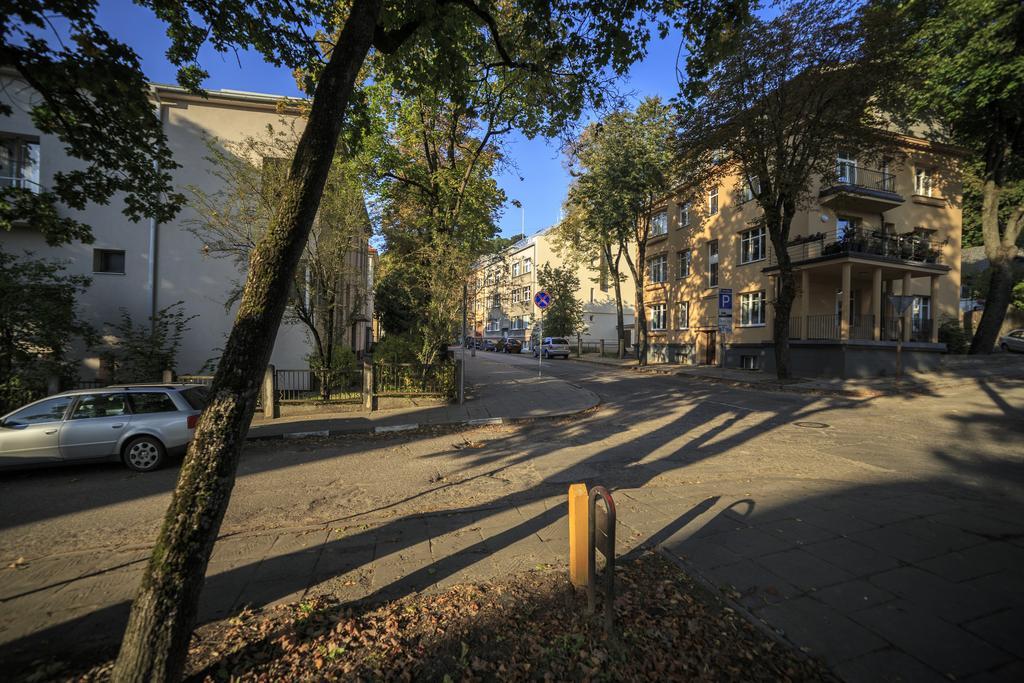 K-Town - City Center Park Studio Kaunas Buitenkant foto